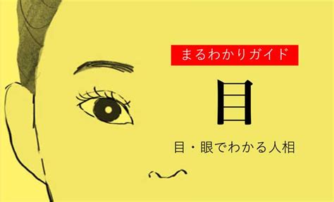 象眼 人相|【人相学】目の形・大きさ・位置・瞳・瞼でわかる性格25個